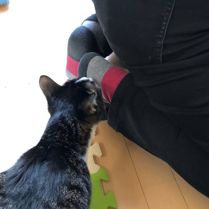 6c21ff67 f6a1 402c 836a 5a9507761cc6 1550817490571