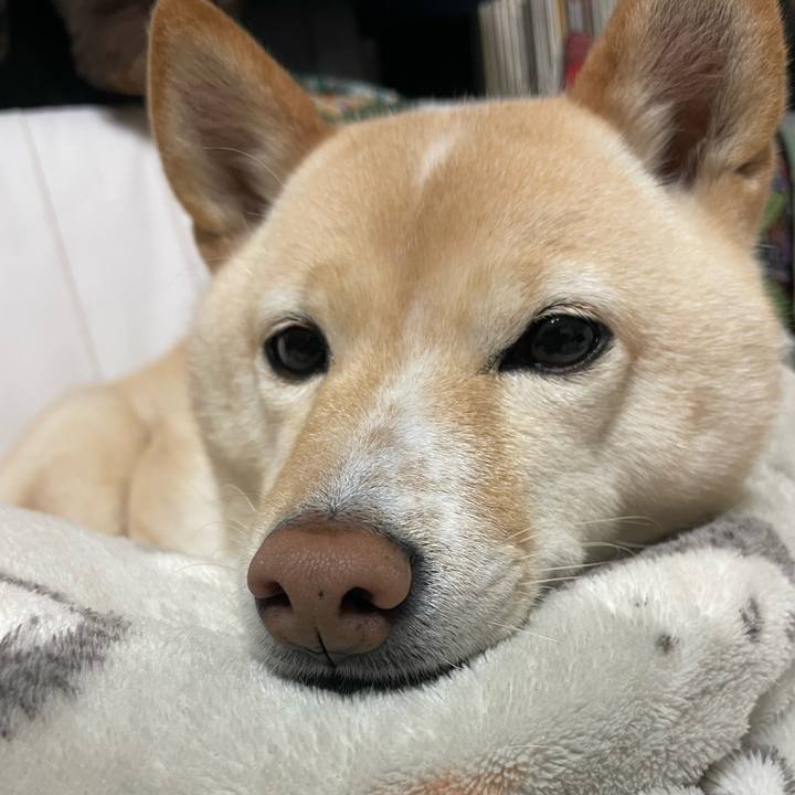 6c220d5a a284 4f2f 9843 666efa91fe6f 1671187101103