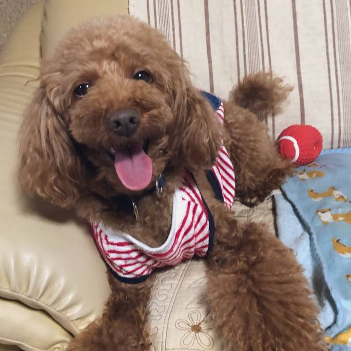 6c222a97 29e5 4885 b087 cbaa4344cbd5 1561367544995