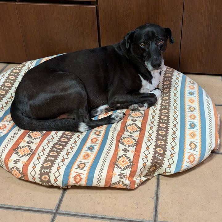 6c22417d d4e0 453b ac02 308d07986ebe 1726154403439