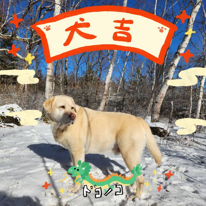 6c224d2d 239f 4027 978f c0925cf9f86c 1704103092393