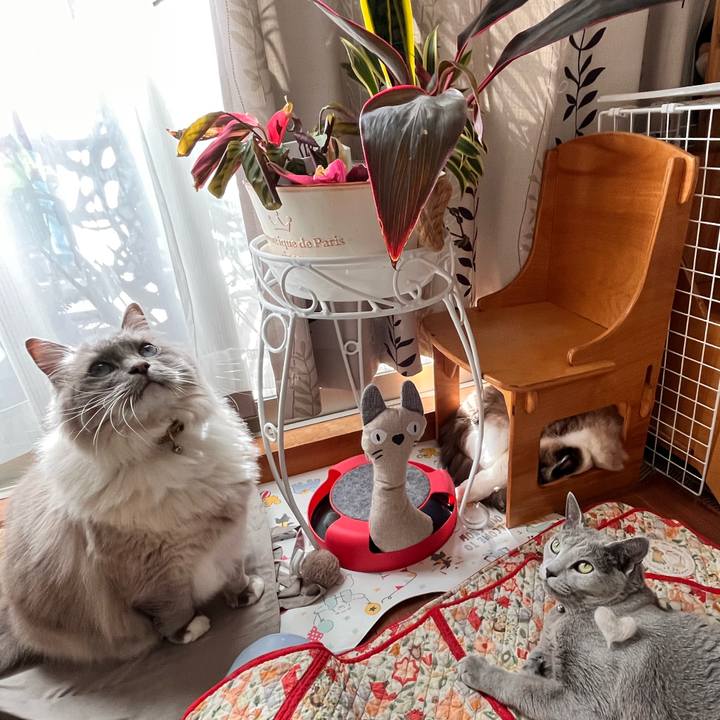 6c2258b4 5f61 4295 8f19 036f06a7cb17 1672560726074