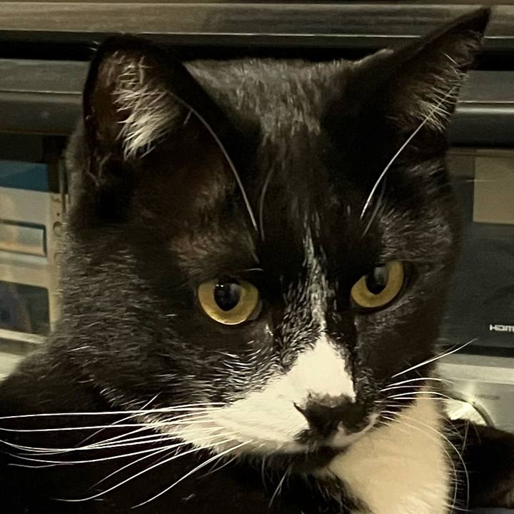 6c22ab68 20e1 495d a08a 844ae721254a 1705733542155