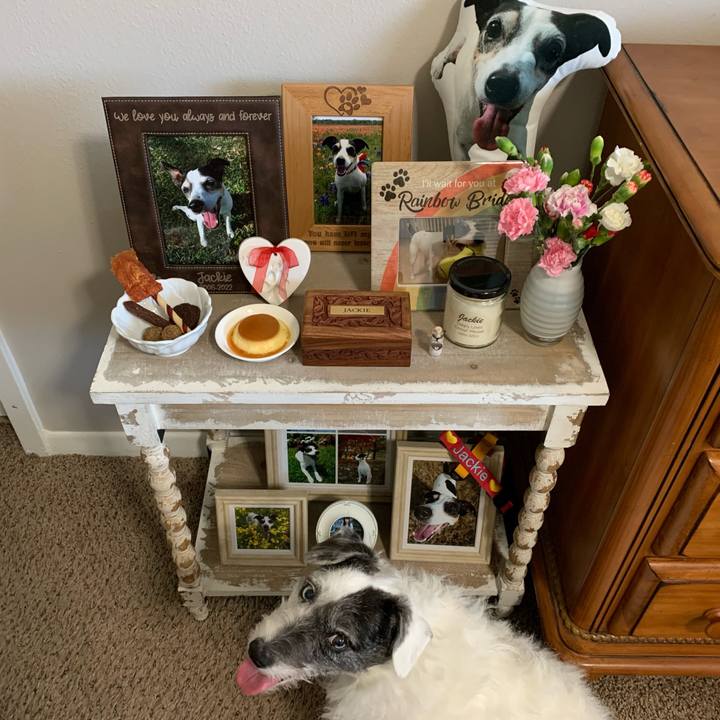 6c22bdf5 0ad0 41a3 8eec 8793d9360427 1647641940173