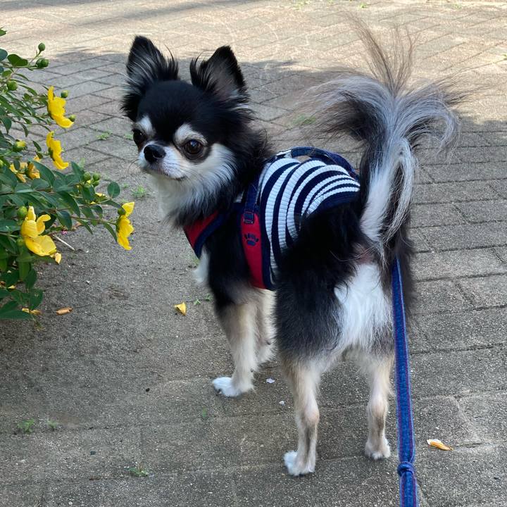 6c22ce07 bad6 4434 91a1 615f8d3b697c 1716719793496