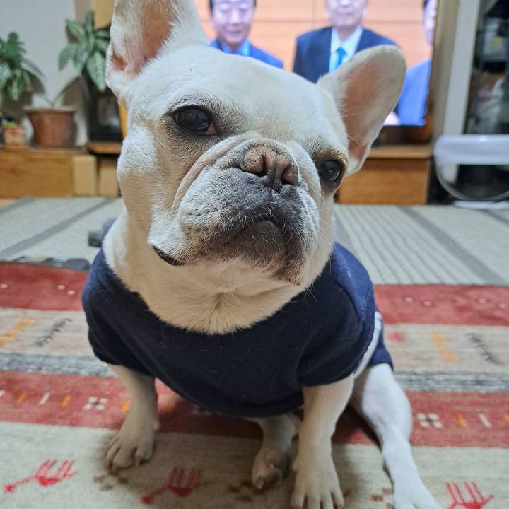 6c232ca3 fa88 4679 98f5 910a0e9502d5 1769034843184