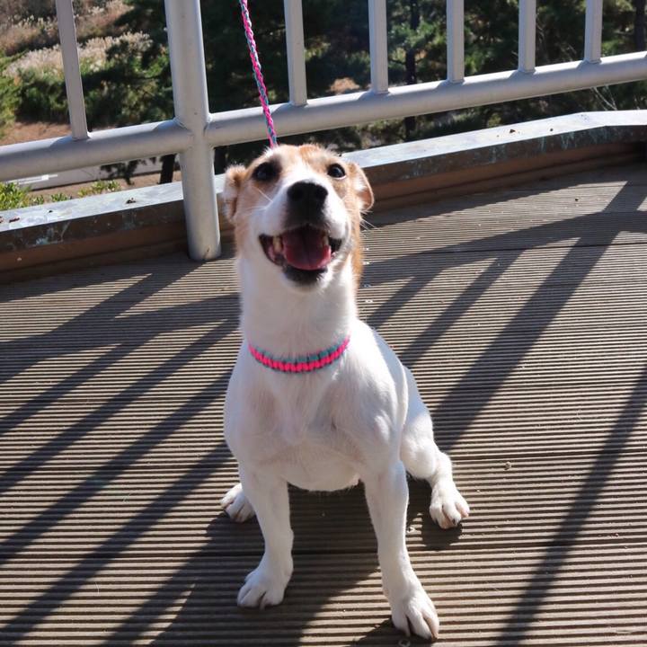 6c232f13 1d9d 44d0 a1e3 96cf7d8cc1db 1513049938447