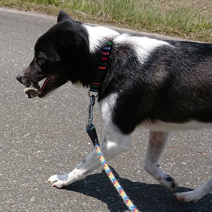 6c2334ef 0999 4232 8ab2 876840f1143b 1557024035851