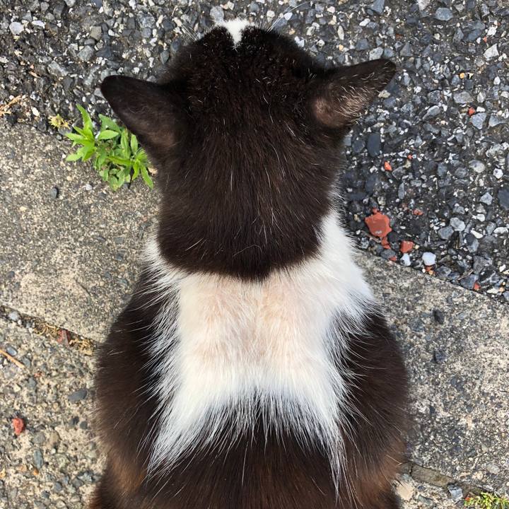 6c23413c 3fc7 4898 b87a 75480a392e02 1527941019412