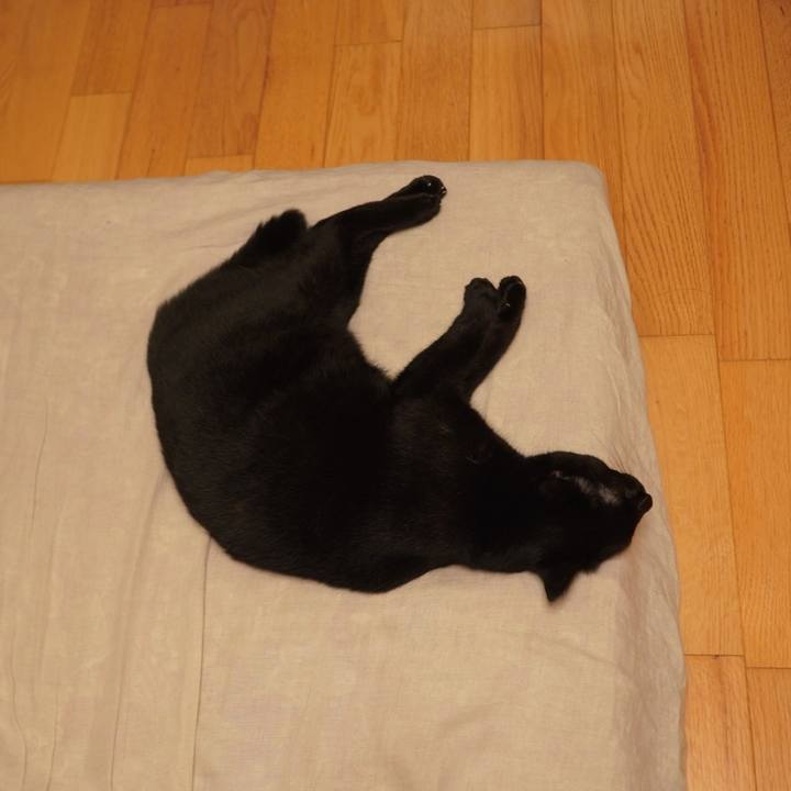 6c23844e e4c5 4e4a 8d5c abf273042ee4 1598880208851