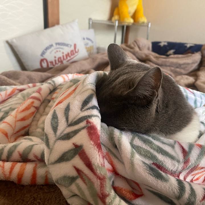 6c238600 568a 4591 84f0 60d63bd1e2e9 1671777819023