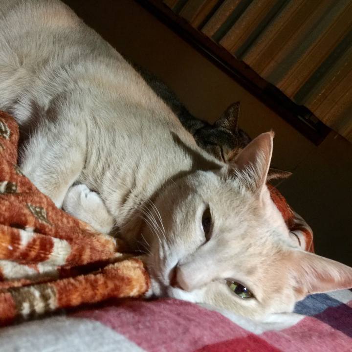 6c239797 13fd 41e4 9d5e fddaaf2695e2 1519907539583