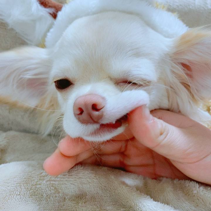 6c23a6c8 933b 4ac3 b466 3bfb7102a1e1 1609841929475