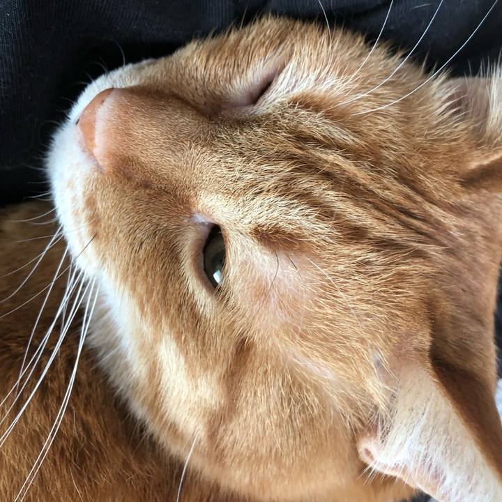 6c23de9d 89c2 458d 819e b52637bfca49 1645831682075