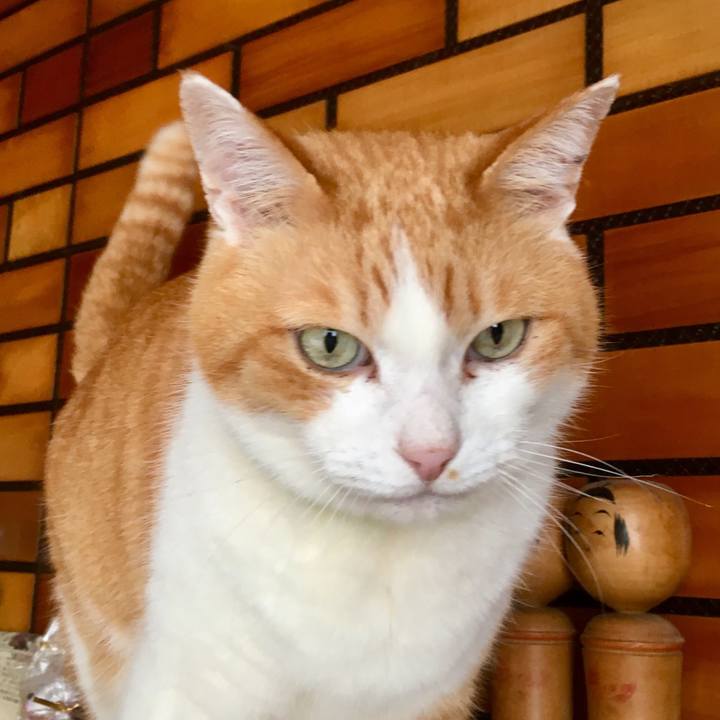 6c23e6e5 e82b 4ba9 a81d e2e7d29d07ff 1555710871964