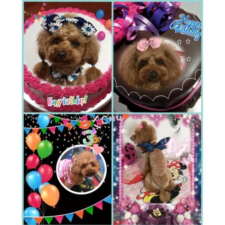 6c241d72 ef5a 4784 a78b a4b560b22848 1533372931825