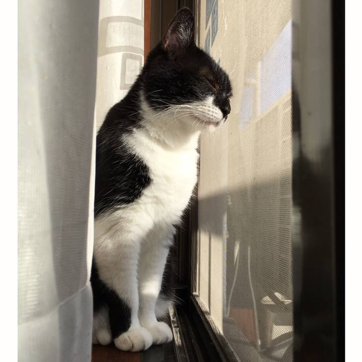 6c247ad0 d4bb 4562 8455 1e76bf238102 1571985724580