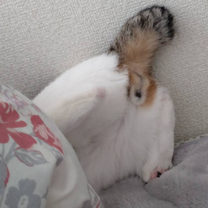 6c24813d 4ef9 45e9 ae73 ac586656df88 1679266408325