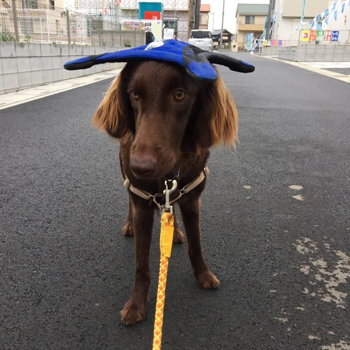 6c24a257 5931 4817 a1db 145885eb32c9 1591134605171