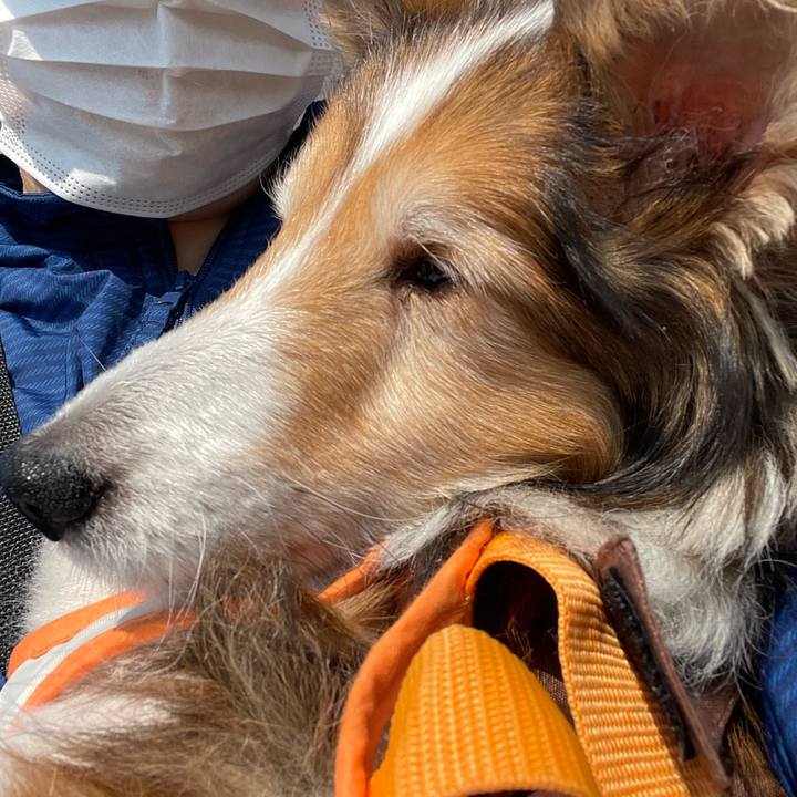 6c24b806 5456 454a 9141 f0d8592d2d3b 1651050810287