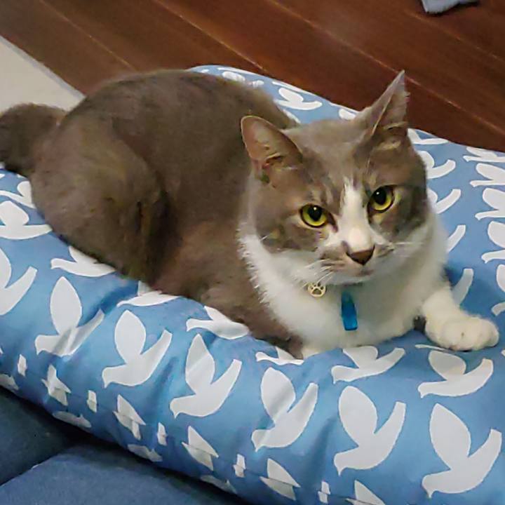 6c24ce1b 841b 4c66 a468 39b56abef4be 1693224622902