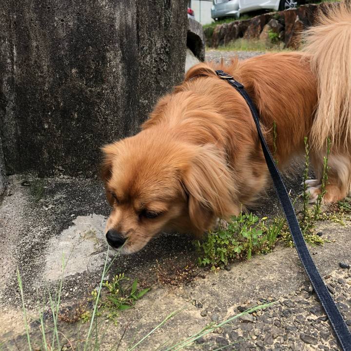 6c250db7 2fc4 41af 97bb 9ce2a28df000 1527026416012