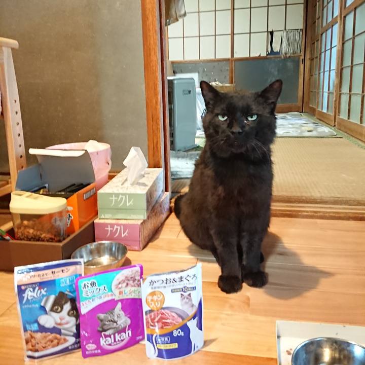 6c255339 347f 4d12 b426 5c4f76b122bc 1623319864162