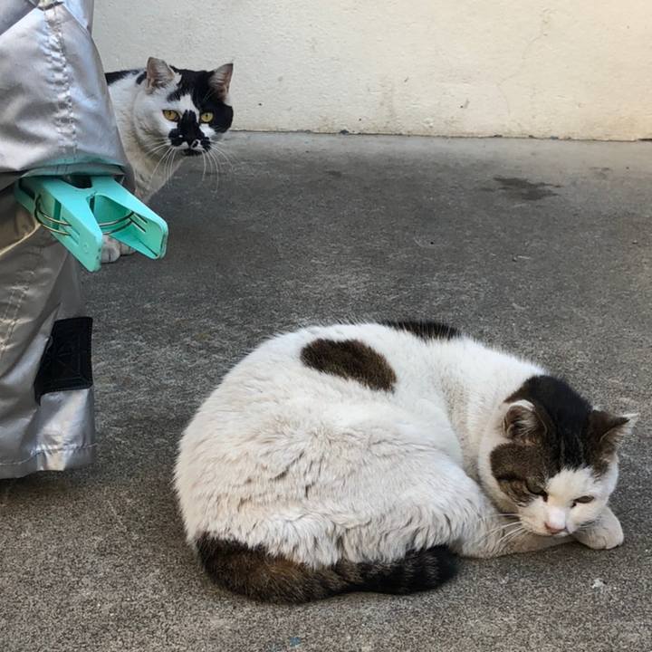 6c256a1c ba5d 459f b36c 7d0e4ff8c700 1558180020936