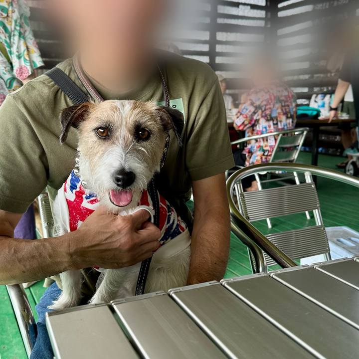 6c25759e 330c 498b bf57 306dfb3aaf27 1719843124231