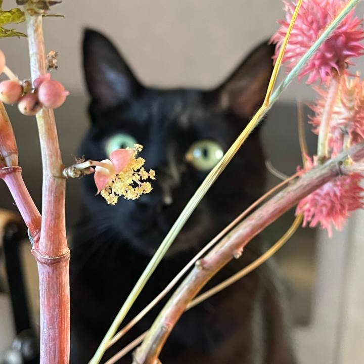 6c2587e3 e68d 461b a507 2464c8a9866a 1729465921144