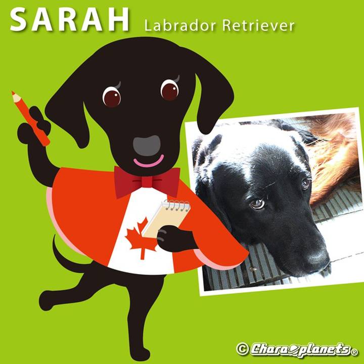 6c25af92 e4c4 4619 94a8 97a5e1b6d2ef 1557881994420