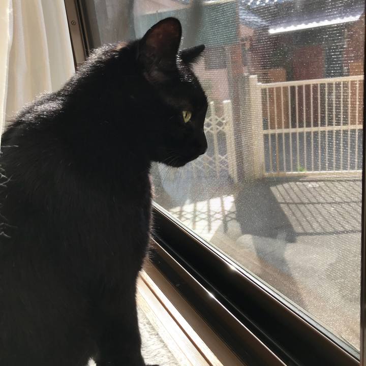 6c25d524 9d70 4f91 b069 7f5c7bdcc5aa 1524271540570