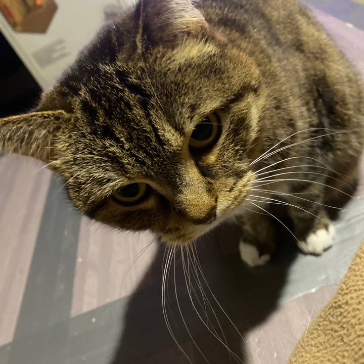 6c25ed06 6cde 4a38 ae36 094ed9b56880 1676459196340