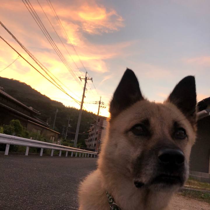 6c26318e fccf 46c8 9f74 59edb3bf80d8 1597668845572