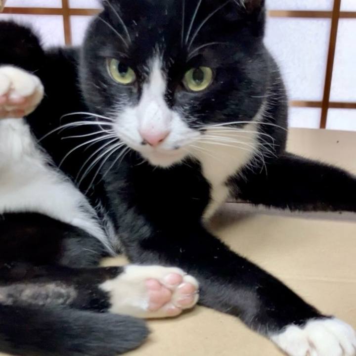 6c2670f7 f5cb 458c b3e1 5c2d2c2649cb 1736991966635