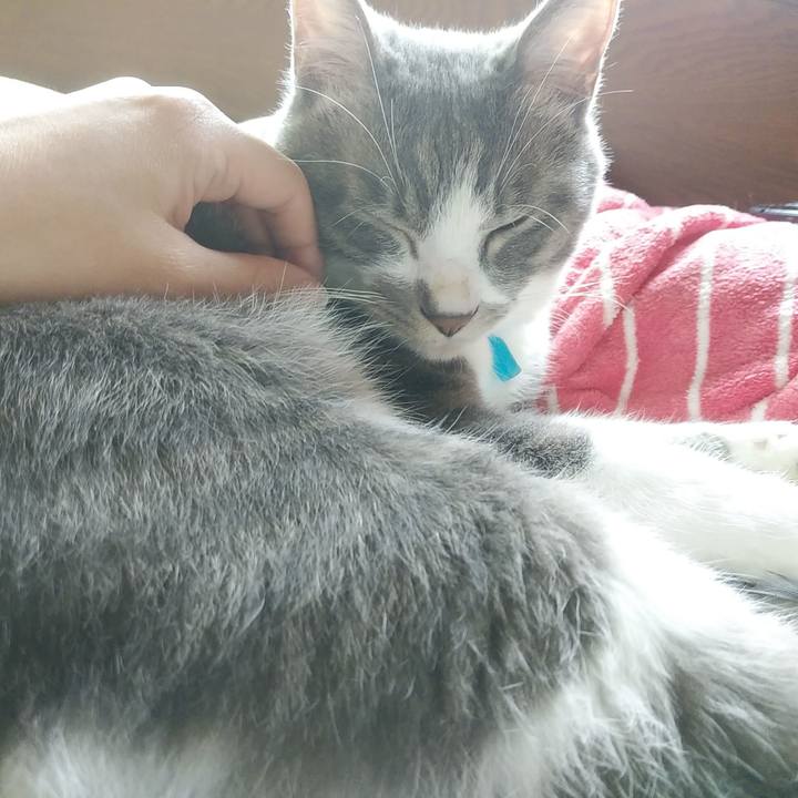 6c267494 d2cd 4e3a 80f7 8f4450742f60 1589235697819