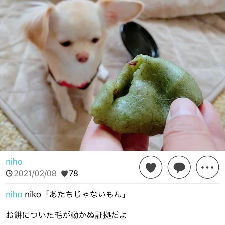 6c26c589 3c22 4b55 b0a2 5bca96cdf641 1675859341107