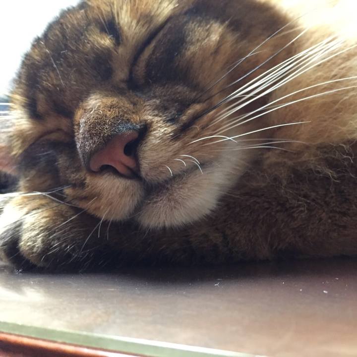 6c26de82 38a7 4287 8cb6 331ee184ddb5 1599528468820