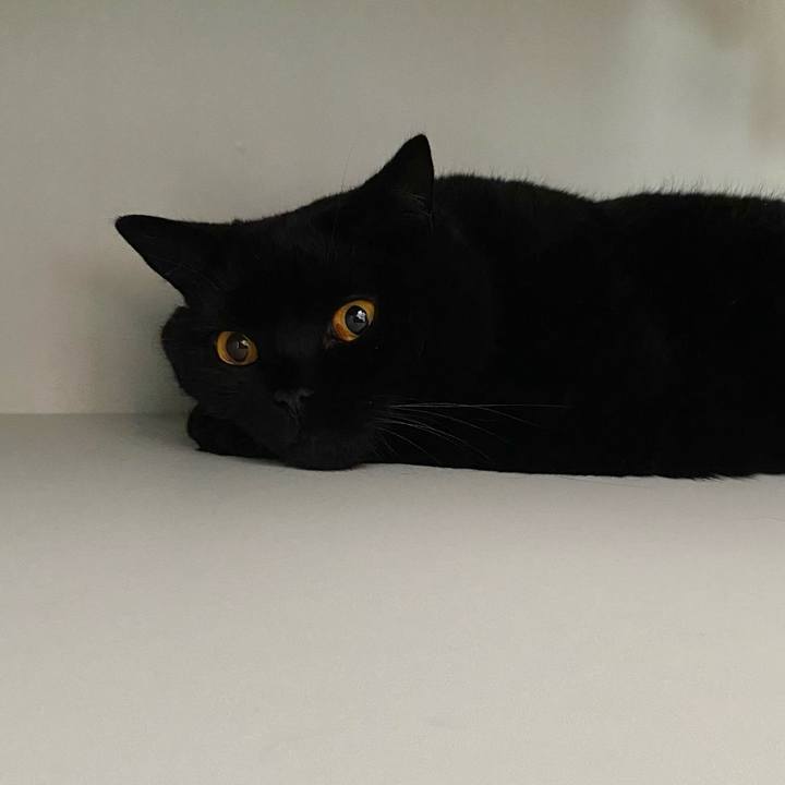 6c2703ed ecdb 4638 be5b 56811ddcbba4 1626398548349