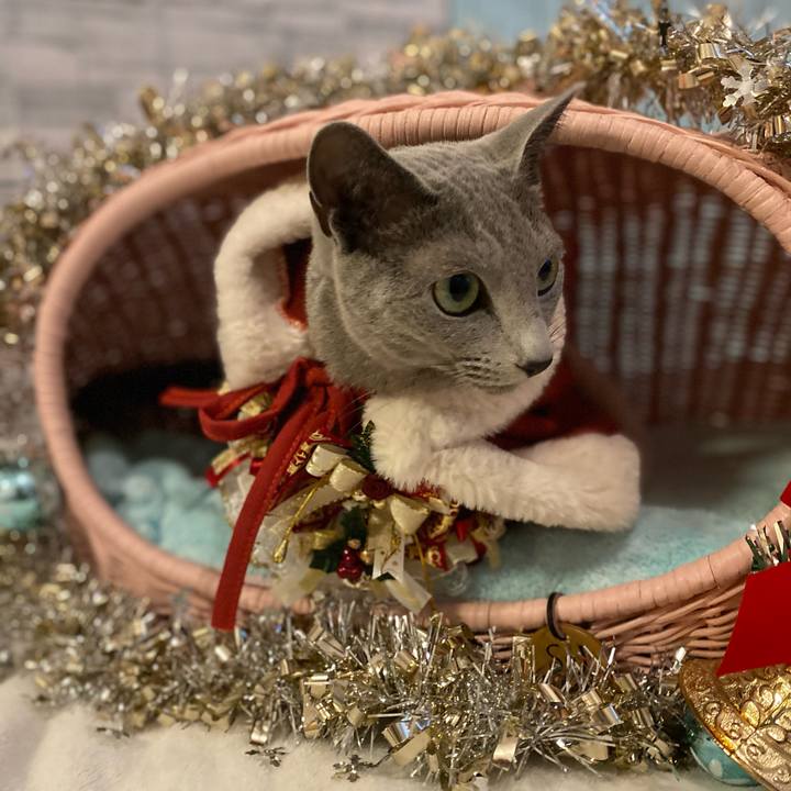 6c270ac2 55e4 4d72 a8c4 d4785f5b146a 1670903164867