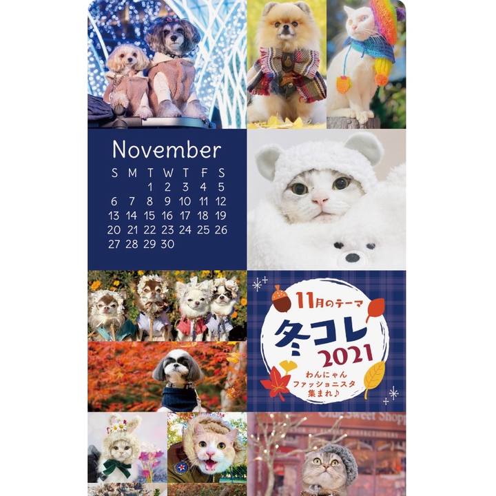 6c2711f8 a522 42ba 866b 98997ccd4251 1641253665059