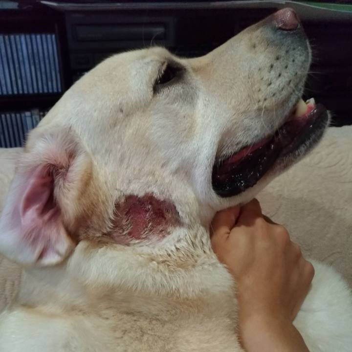 6c2722b5 aeee 4cd7 85d9 0034fff56c5a 1570960836772