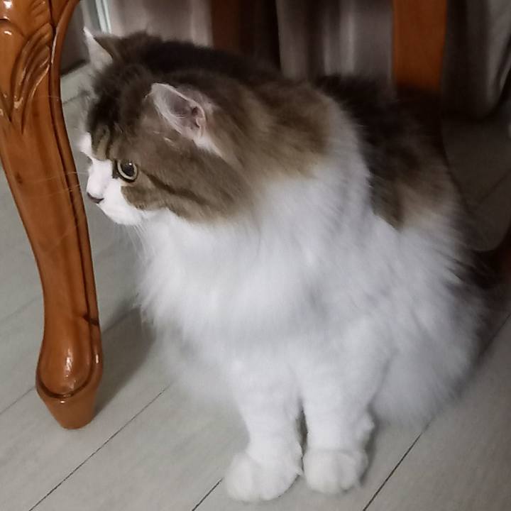 6c272d32 64ee 4fcd a9ed 73629955ab34 1688076449460