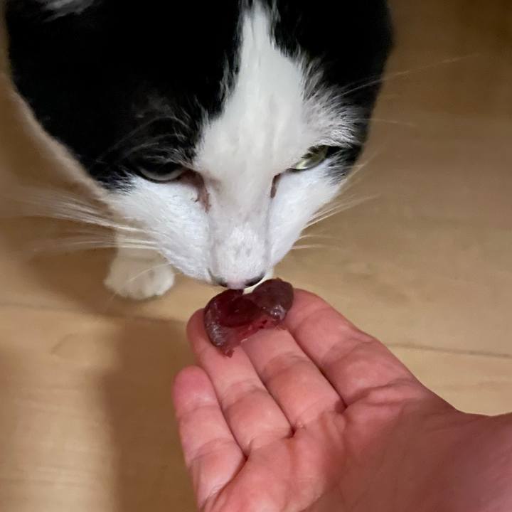 6c2737c9 29a0 4393 bcd7 365c7790e367 1681650979415