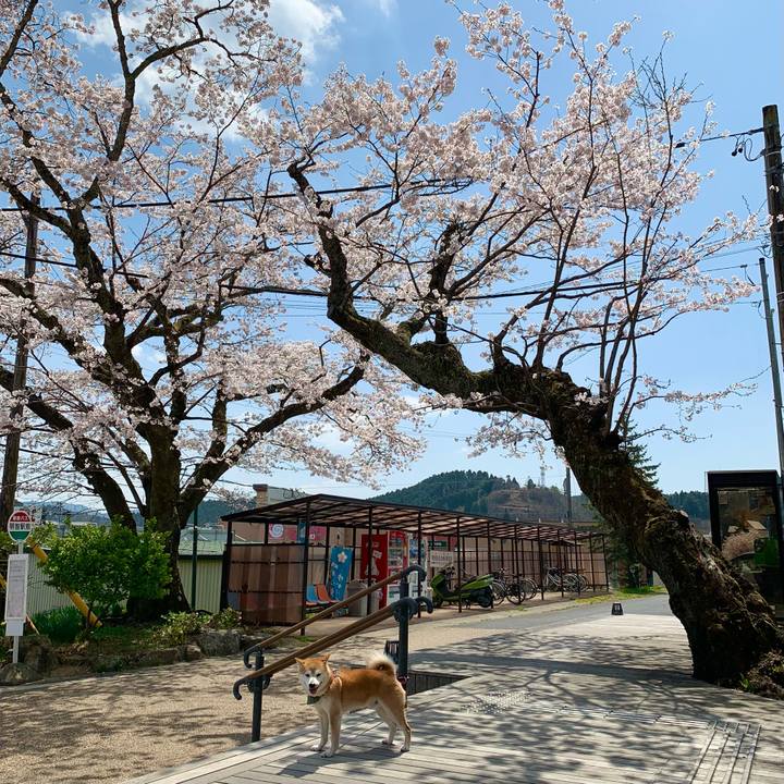 6c2757de 9076 4662 9058 1ade1b4f6039 1649499965477