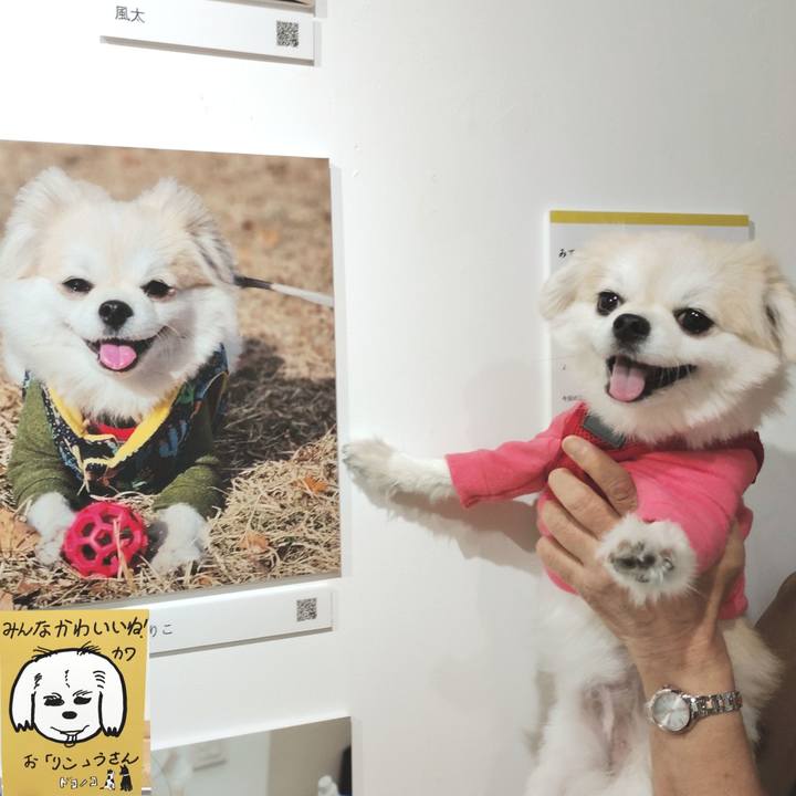 6c275f38 a507 4755 8b84 eee363475715 1761391746589