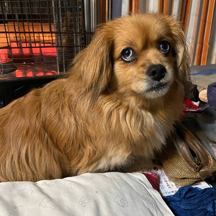 6c276266 603c 4742 8485 9d7c59a78446 1644442887351