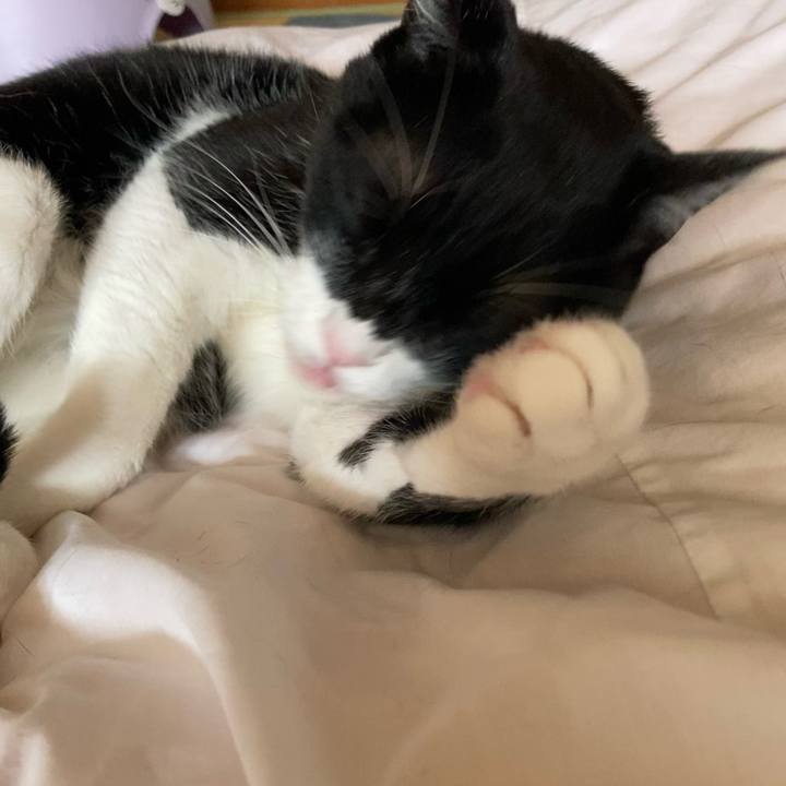 6c28017d 87e3 4f68 a904 269a72e0cfe0 1679483757655