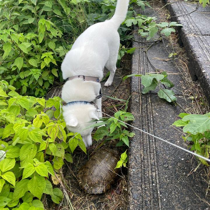 6c280371 4527 4d95 87b0 e1bb7c5aa830 1747446271012