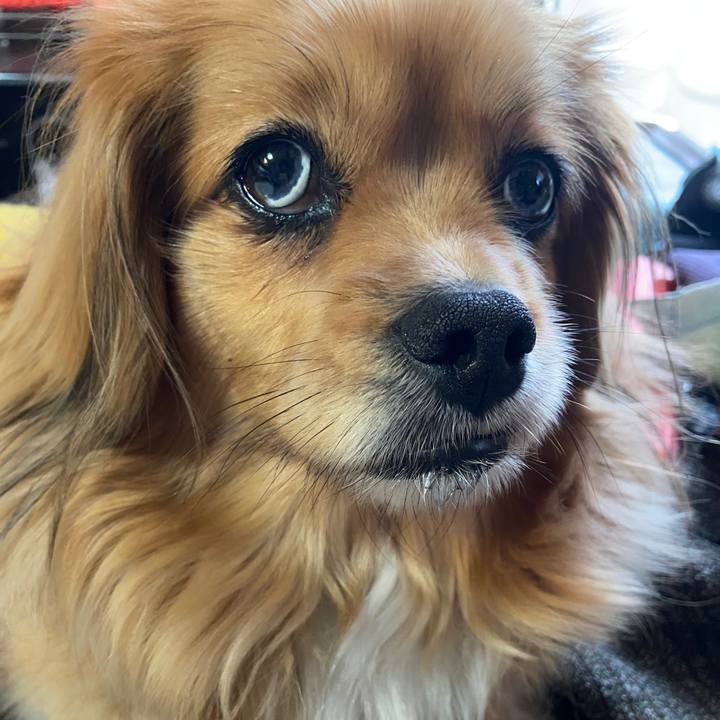 6c28039f 6356 42d5 8783 e9c93587a4a8 1649366632554